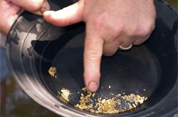 20/20 Gold Prospecting Report 17